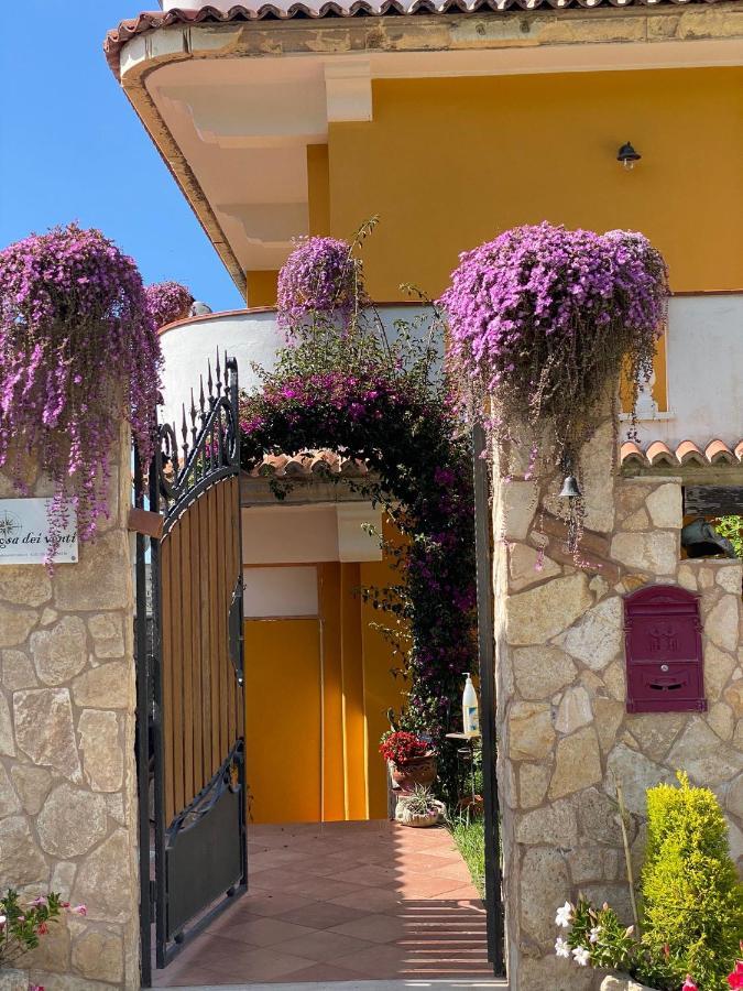 Rosa Dei Venti Accomodation Tropea Luaran gambar